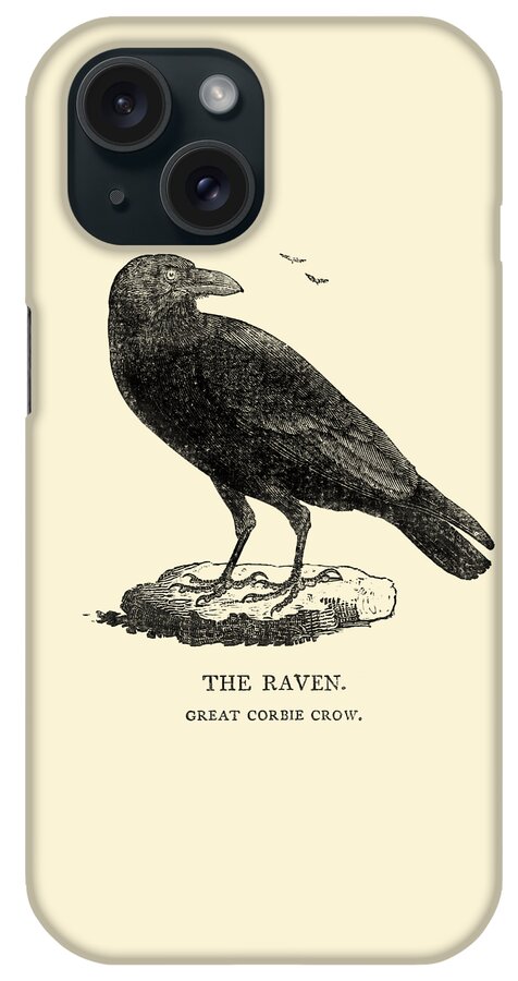 Raven iPhone Case featuring the digital art Common Raven by Madame Memento
