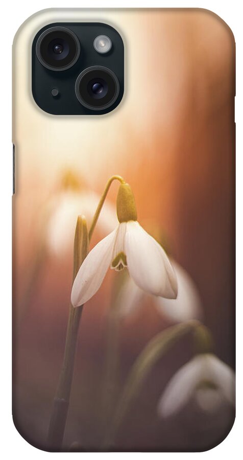 Europe iPhone Case featuring the photograph Common snowdrop at sunset. Magic flower sprouting from the soil by Vaclav Sonnek