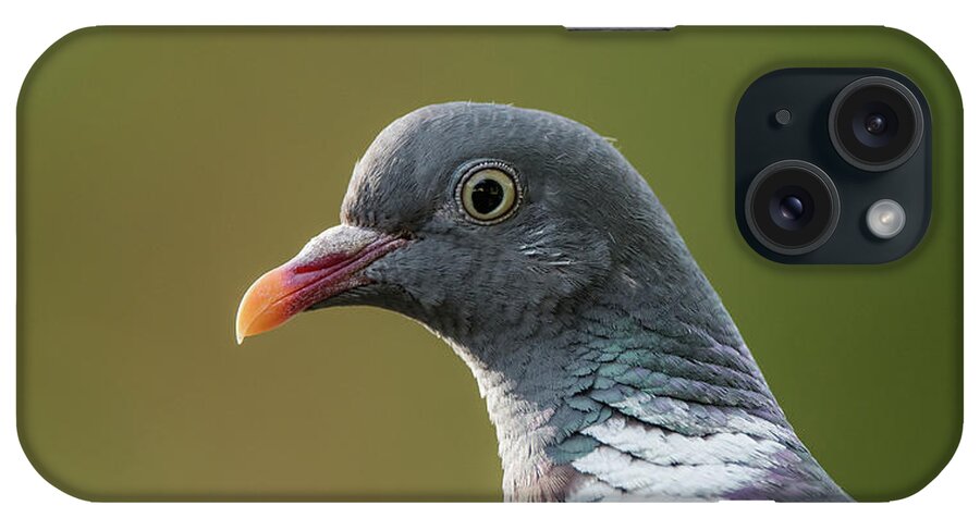 Common Wood Pigeon iPhone Case featuring the photograph Common Wood Pigeon s portrait by Torbjorn Swenelius