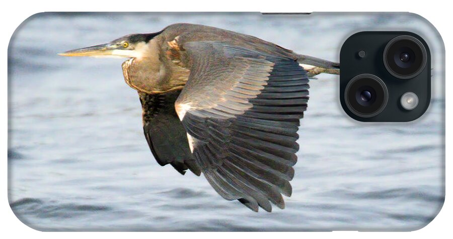Heron iPhone Case featuring the photograph Conowingo Blue Heron In Flight by Adam Jewell