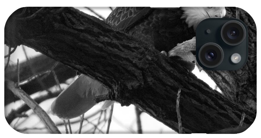 Conowingo iPhone Case featuring the photograph Conowingo Maryland Eagle Lunch Black And White by Adam Jewell