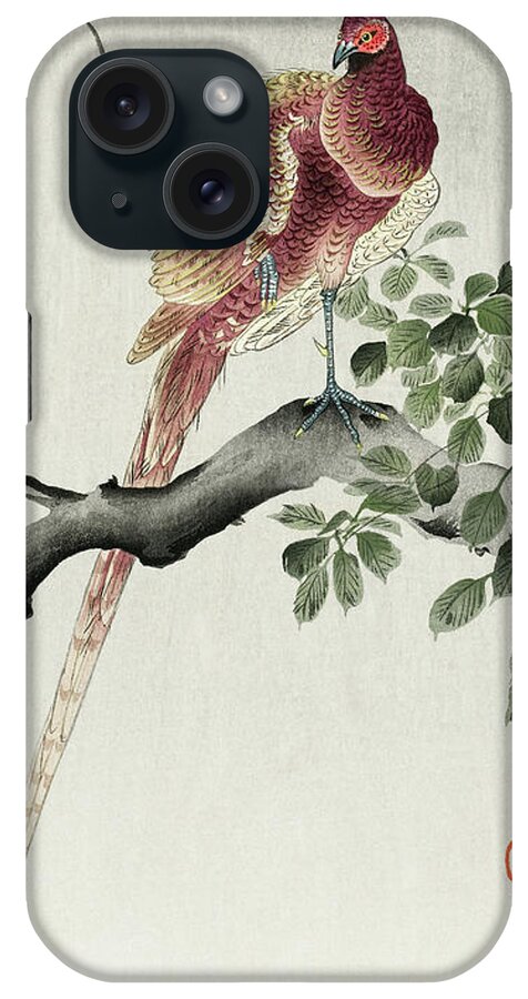 Bird iPhone Case featuring the painting Copper pheasant by Ohara Koson