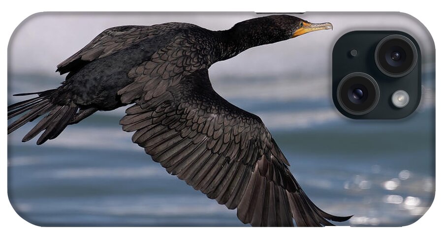 Birds iPhone Case featuring the photograph Cormorant's Glistening Glide by RD Allen