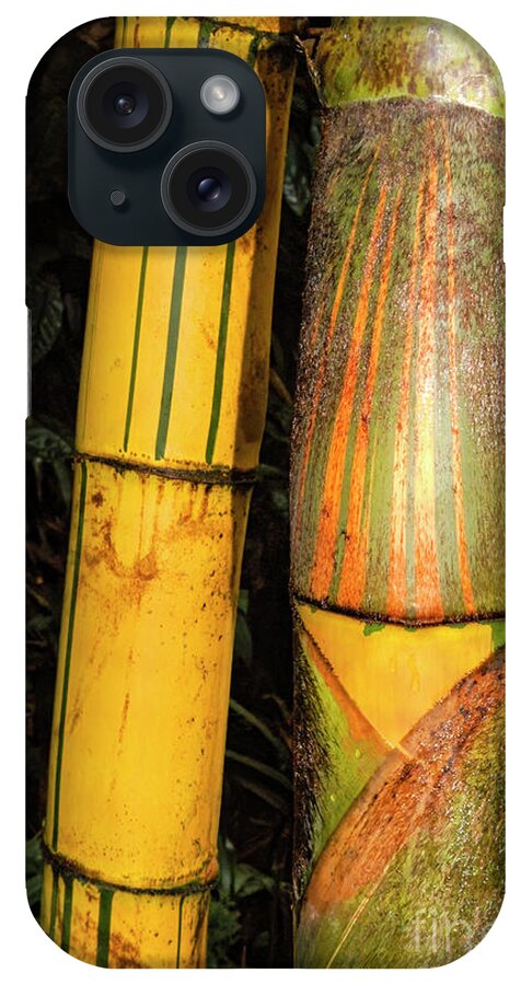 Santa Clara iPhone Case featuring the photograph Costa Rica Bamboo by Bob Phillips