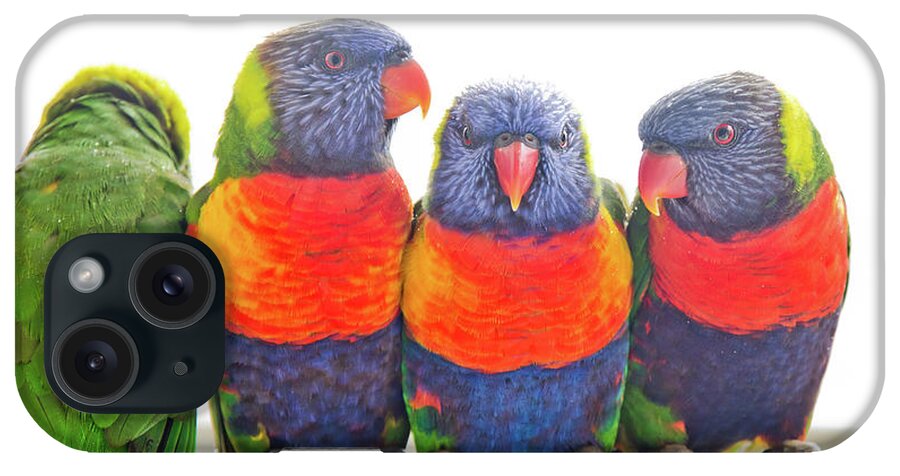 Four Wild Rainbow Lorikeets Perched On A Railing iPhone Case featuring the photograph Cosy by Az Jackson