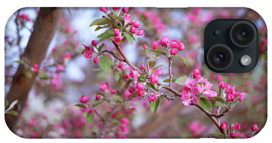 Spring iPhone Case featuring the photograph Crabapple in Spring I by Mary Lee Dereske