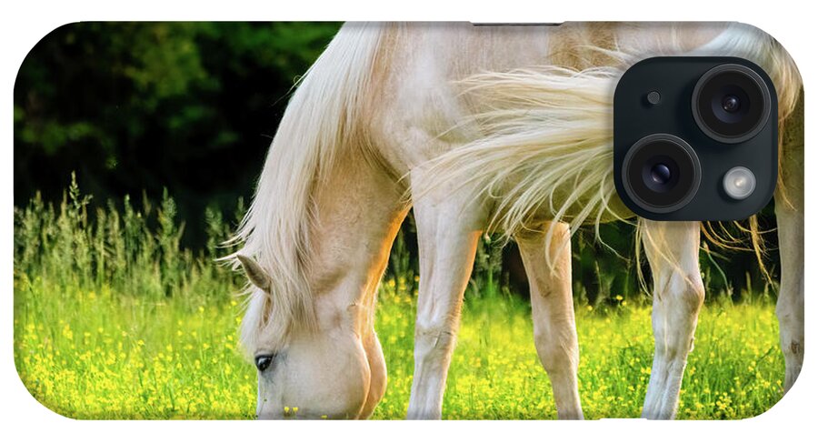 Horse iPhone Case featuring the photograph Cream Horse Grazing by Rachel Morrison