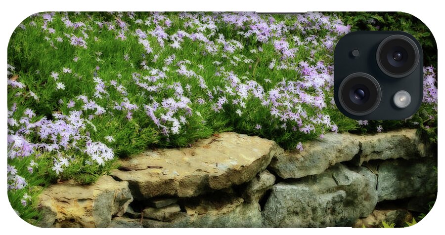 Purple iPhone Case featuring the photograph Creeping Phlox by Gina Fitzhugh