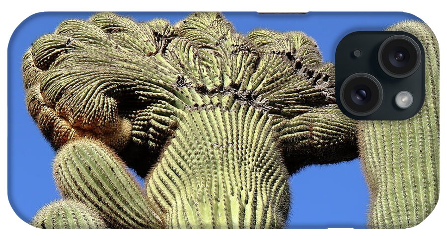 Cactus iPhone Case featuring the photograph Crested Saguaro at Organ Pipe Cactus National Monument by Steve Wolfe