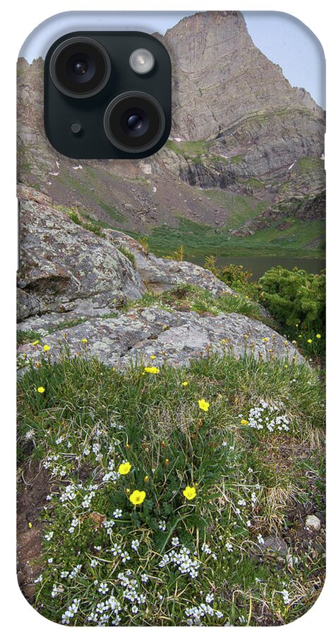 14ers iPhone Case featuring the photograph Crestone Needle Wildflowers by Aaron Spong