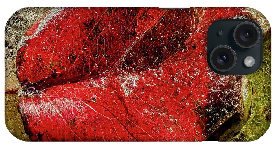 Leaf iPhone Case featuring the photograph Crimson Ice by Jim Moore