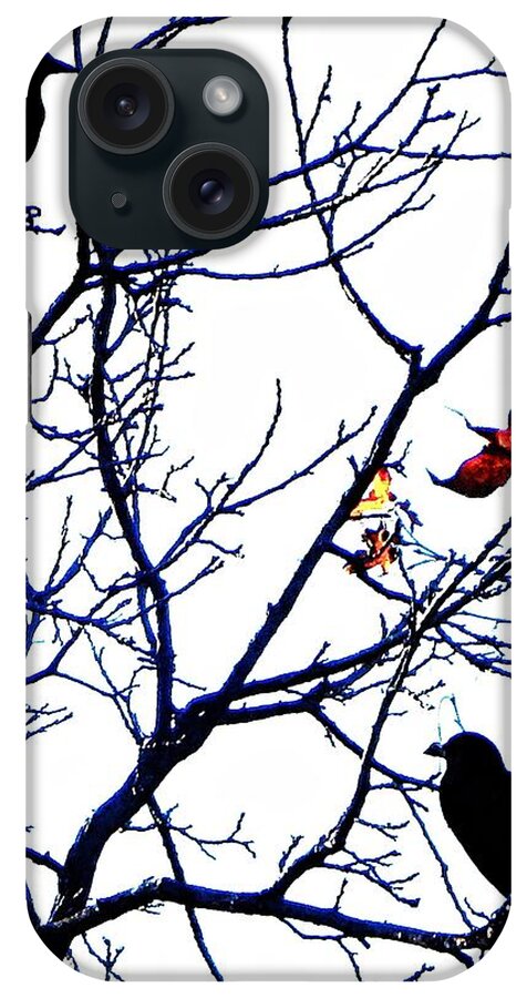 Bird. Birds iPhone Case featuring the photograph Crows Branching by Andrew Lawrence