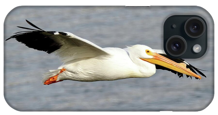 Pelicans iPhone Case featuring the photograph Cruising Along by Lens Art Photography By Larry Trager