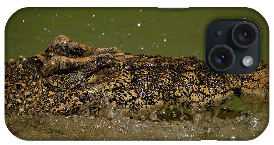 Cuban iPhone Case featuring the photograph Cuban Crocodile by Carolyn Hutchins