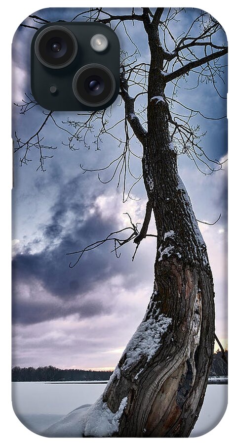 Tree iPhone Case featuring the photograph The Solo Curb Tree On The River by Carl Marceau