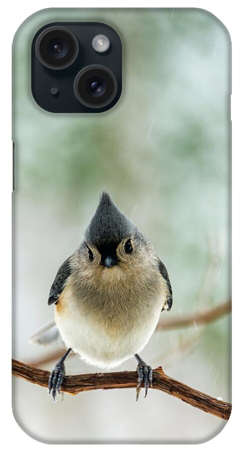 Animal iPhone Case featuring the photograph Cute Tufted Titmouse by Oscar Gutierrez