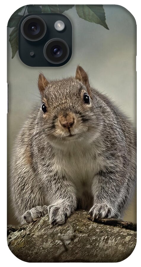Gray Squirrel iPhone Case featuring the digital art Curious Sam by Maggy Pease