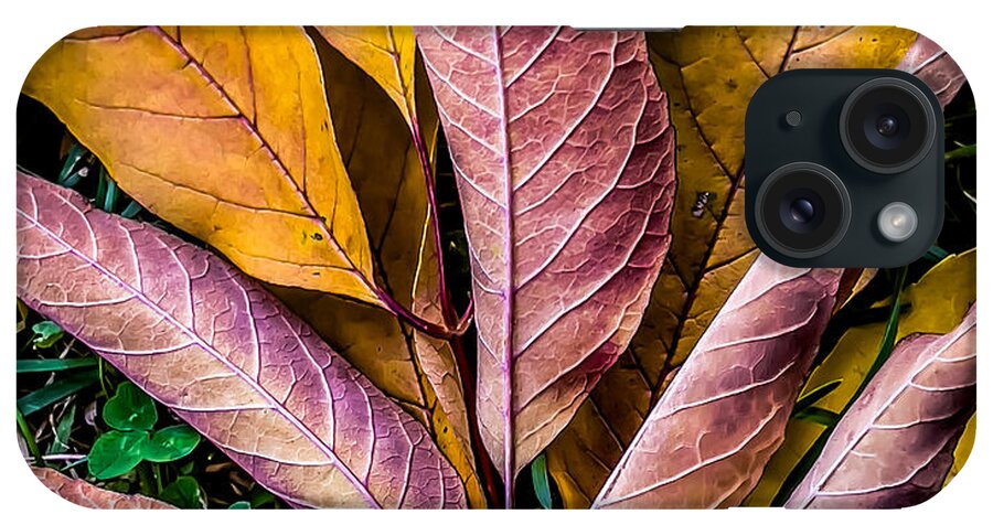 Autumn iPhone Case featuring the photograph Curled Autumn Leaves by Cate Franklyn