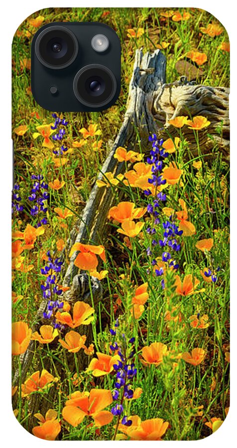 Arizona iPhone Case featuring the photograph Cycle of Life 25052 by Mark Myhaver
