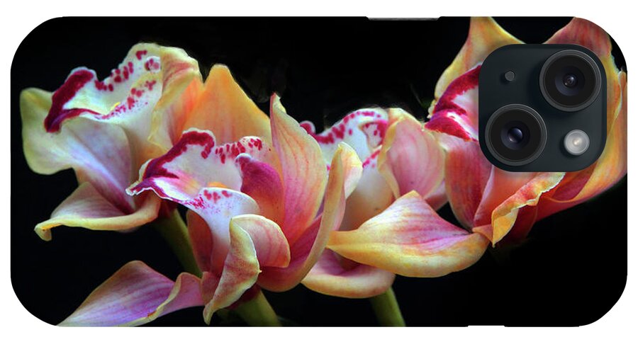 Orchid iPhone Case featuring the photograph Cymbidium Beauty by Jessica Jenney