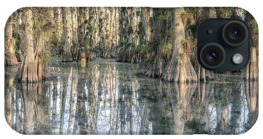 Big Cypress National Preserve iPhone Case featuring the photograph Cypress Dome Colors by Rudy Wilms
