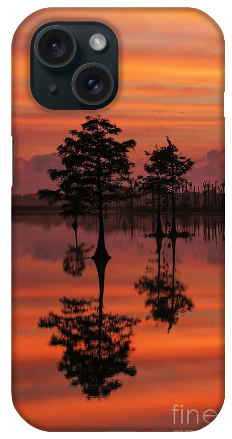 Usa iPhone Case featuring the photograph Cypress Shadows by Brian Kamprath