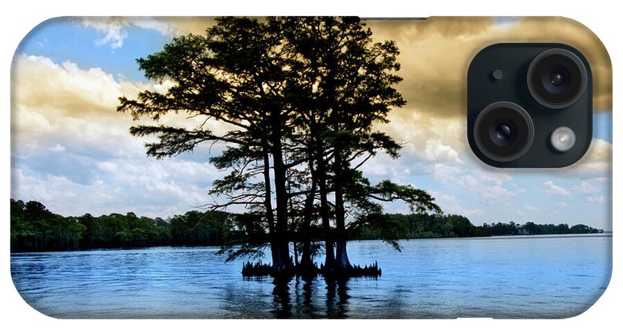 Cypress iPhone Case featuring the photograph Cypress Trees by Anthony M Davis