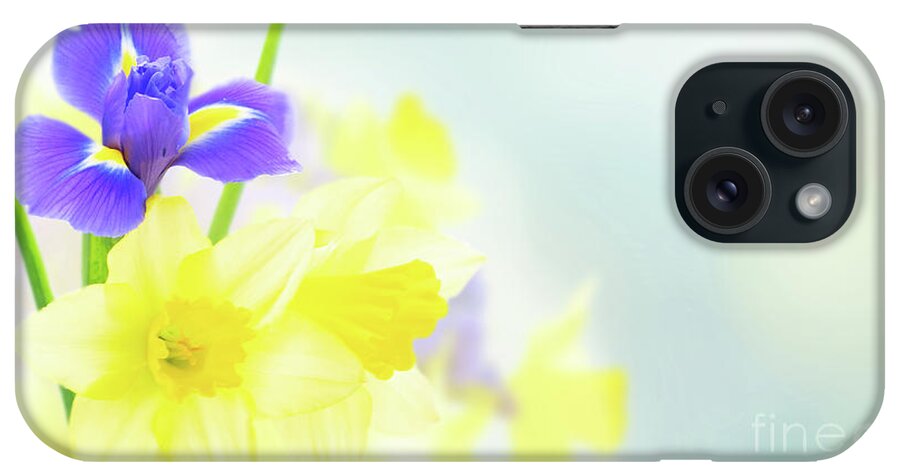 Tulip iPhone Case featuring the photograph Daffodil and Iris Flowers by Anastasy Yarmolovich