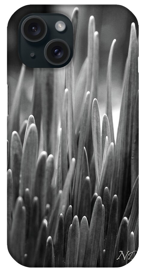 Daffodil Shoots Bw iPhone Case featuring the photograph Daffodil Shoots by Natalie Dowty
