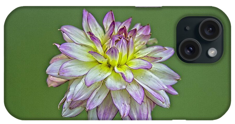 Flower iPhone Case featuring the photograph Dahlia Delight by Allen Nice-Webb