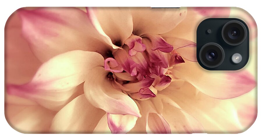 Dahlia iPhone Case featuring the photograph Dahlia of Grace by Janie Johnson