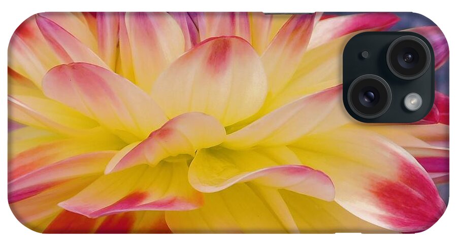 - Dahlia - Yellow And Red iPhone Case featuring the photograph - Dahlia - Yellow and Red by THERESA Nye
