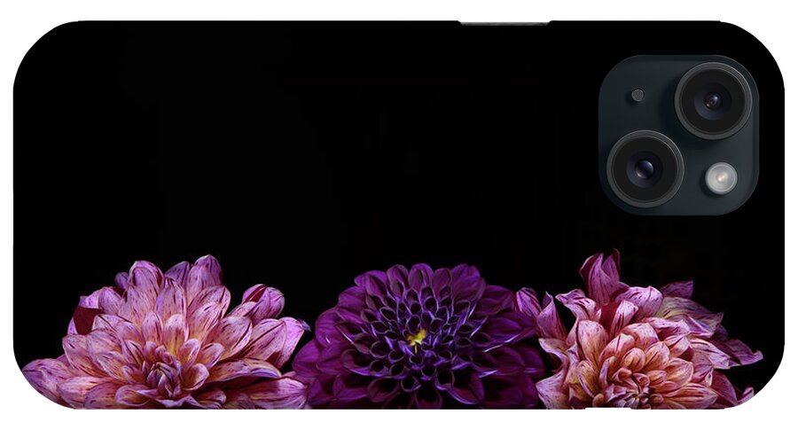 Dahlias On Black iPhone Case featuring the photograph Dahlias on Black by Naomi Maya