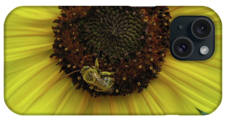 Flowers iPhone Case featuring the photograph Daisy Bee by Segura Shaw Photography