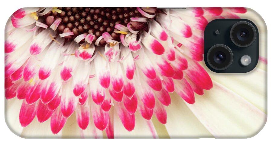 Abstracts iPhone Case featuring the photograph Daisy Dipped by Marilyn Cornwell