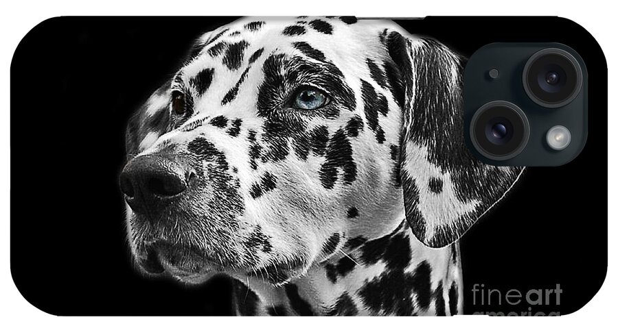 Dalmatian iPhone Case featuring the photograph Dalmatian Dog Animal Head Pet Photography Dog portrait Pictures by Mounir Khalfouf