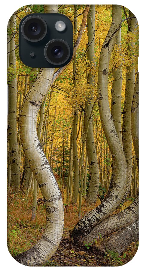 Colorado iPhone Case featuring the photograph Dancing Aspens by David Downs