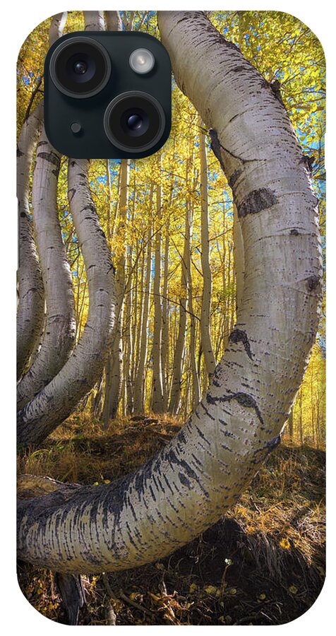 Aspen Tree iPhone Case featuring the photograph Dancing Aspens by Kristen Wilkinson