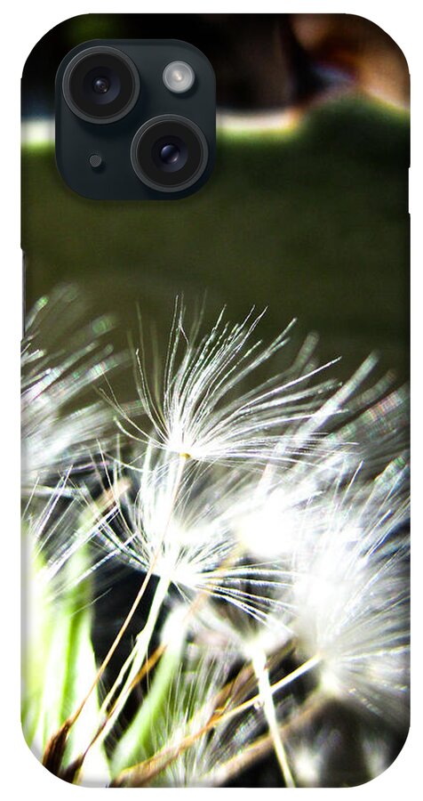 Dandelion iPhone Case featuring the photograph Dandelion and Agave by W Craig Photography