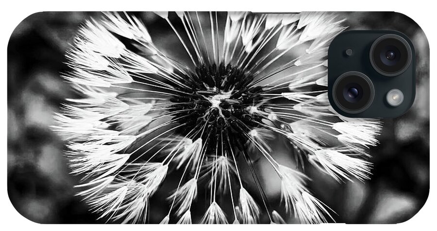 Flowers iPhone Case featuring the photograph Dandelion In Black And White by Jim Feldman