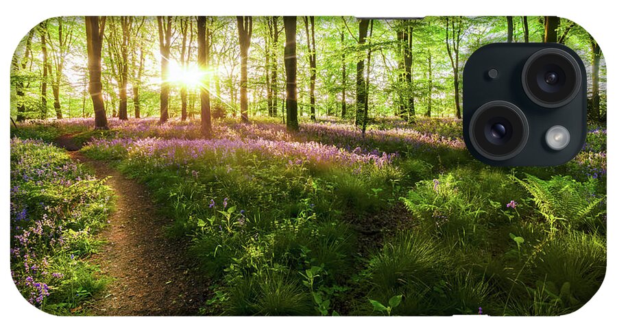 Path iPhone Case featuring the photograph Dawn sunrise in bluebell forest in England by Simon Bratt