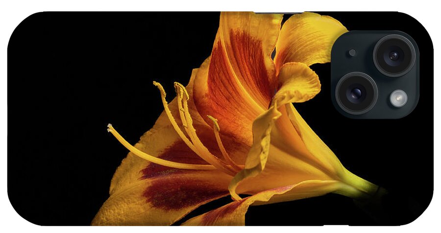 Hemerocallis Fulva iPhone 15 Case featuring the photograph Daylily at Night by Kevin Suttlehan