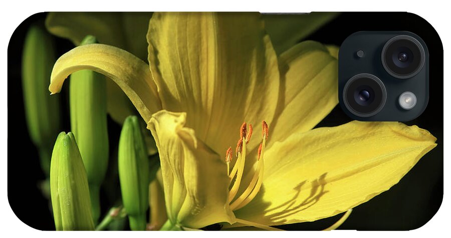 Daylily iPhone Case featuring the photograph Daylily with Buds by Donna Kennedy