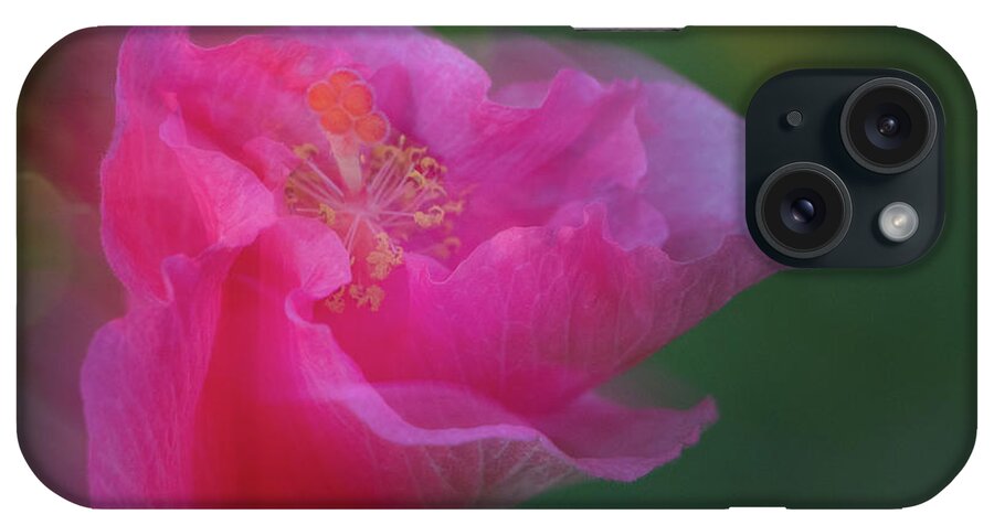Hibiscus iPhone Case featuring the photograph Day's End by M Kathleen Warren