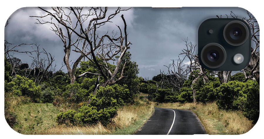 Australia iPhone Case featuring the photograph Dead eucalyptus trees in Great Otway National Park, Australia. L by Jane Rix