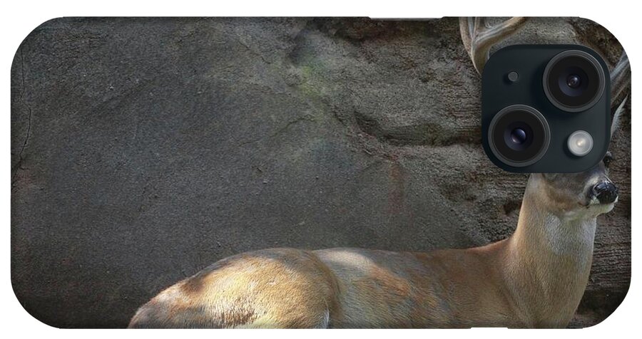 Animal iPhone Case featuring the photograph Deer Alert by On da Raks