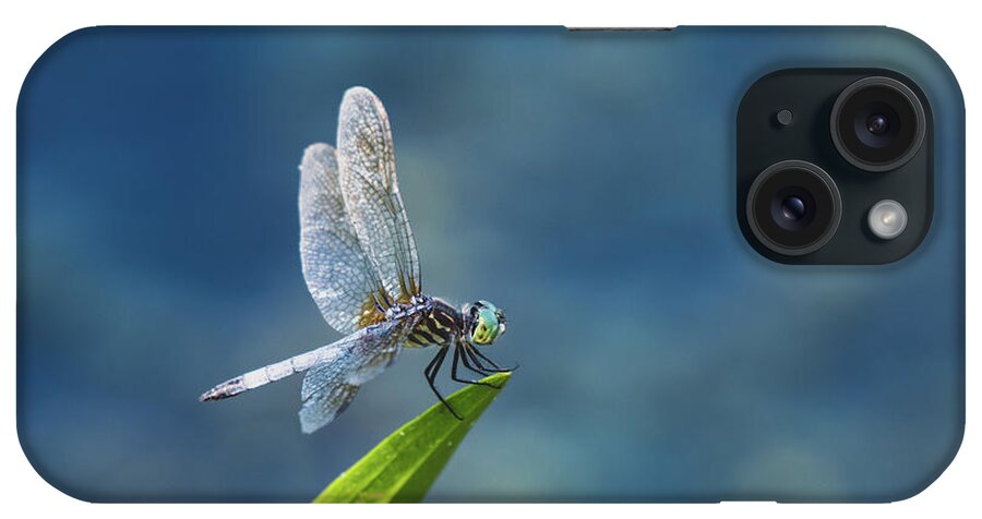 Dragonfly iPhone Case featuring the photograph Delicate Beauty by Rose Guinther
