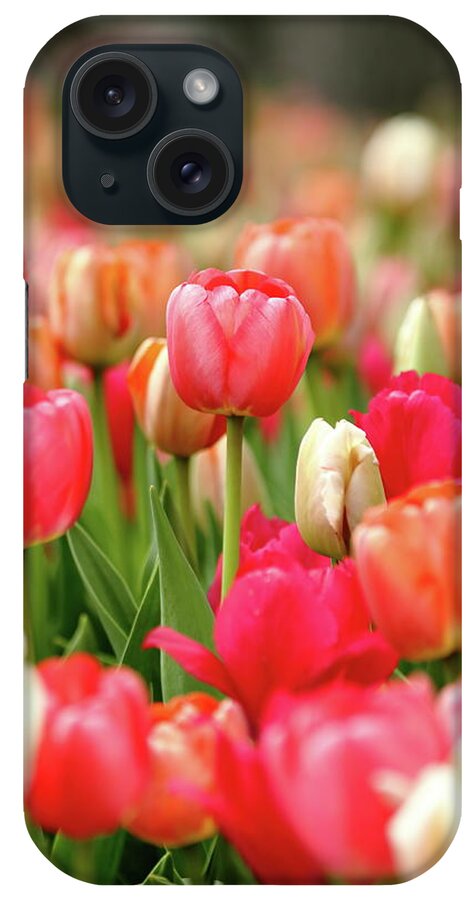 Nature iPhone Case featuring the photograph Delicate by Lens Art Photography By Larry Trager