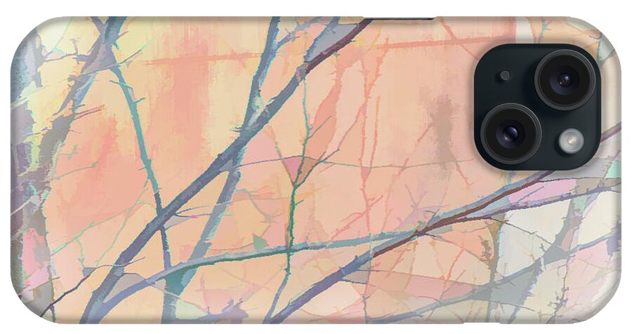Photography iPhone Case featuring the digital art Delicate Winter Limbs by Terry Davis