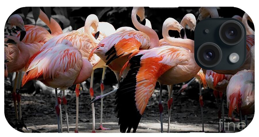 Flamingo iPhone 15 Case featuring the photograph Denver Zoo Flamingo by Veronica Batterson